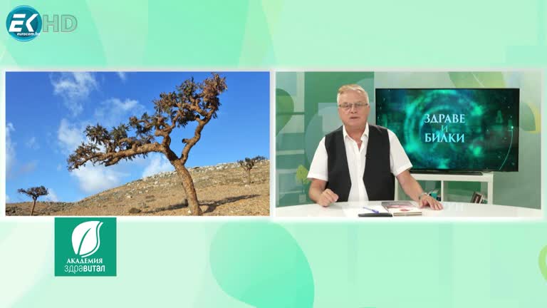 12.06.2024 РУБРИКА: „ЗДРАВЕ И БИЛКИ“-СТРИЙТЕ-ТАМЯНОВОТО ДЪРВО; Д-р Наум Симоноски- хематолог; ТЕМА: ПРОБЛЕМИ ПРИ ПРЕЛИВАНЕТО НА КРЪВ