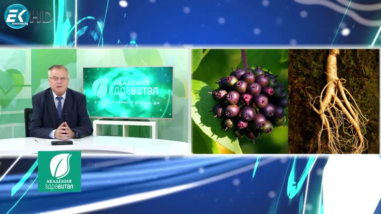 14.11.2023  Рубрика: „Здраве и билки“: свойствата на сибирски жен-шен  Гост: Д-р Найден Николов- акушер-гинеколог  Тема: Лечебна дейност в онкогинекологията