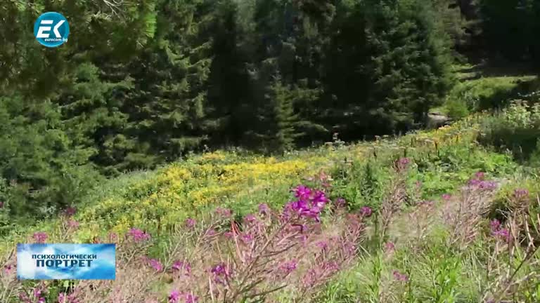 03.11.2022 Част 1