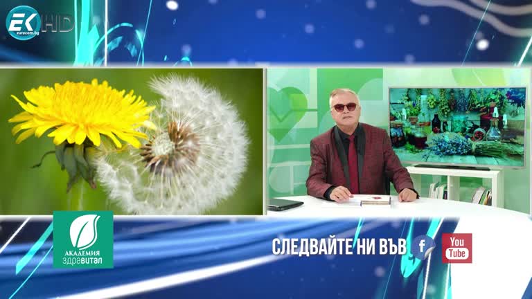 21.05.2024 Рубрика: „Здраве и билки“- Метаболитен синдром- Глухарче; Гост: Ваня Грозева- Ендокринолог и нефролог; Тема: Метаболитен синдром и усложнения