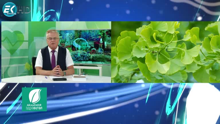 23.04.2024 РУБРИКА: „ЗДРАВЕ И БИЛКИ“- ГИНКО БИЛОБА- АЛЦХАЙМЕР; ГОСТ: Д-Р ФИЛИП АЛЕКСИЕВ- НЕВРОЛОГ; ТЕМА: ВИДОВЕ ДЕМЕНЦИИ, АЛЦХАЙМЕР, ТРАНСКРАНИАЛНА ПУЛСОВА СТИМУЛАЦИЯ