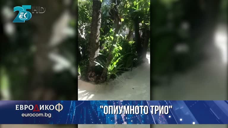 26.11.2021 Част 6