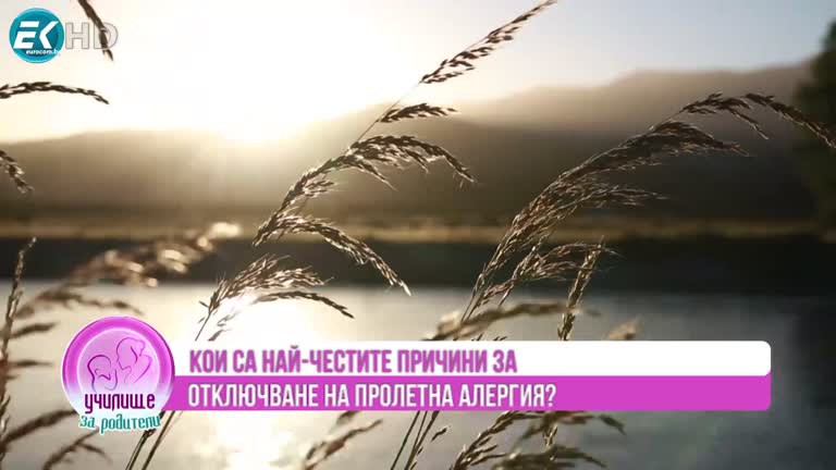 Всичко за пролетната алергия с д-р Диана Христова