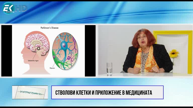 29.04.2023 Част 3 ОБРАЗУВАТЕЛЕН УНИВЕРСИТЕТ; ТЕМА: СТВОЛОВИ КЛЕТКИ И ПРИЛОЖЕНИЕ В МЕДИЦИНАТА