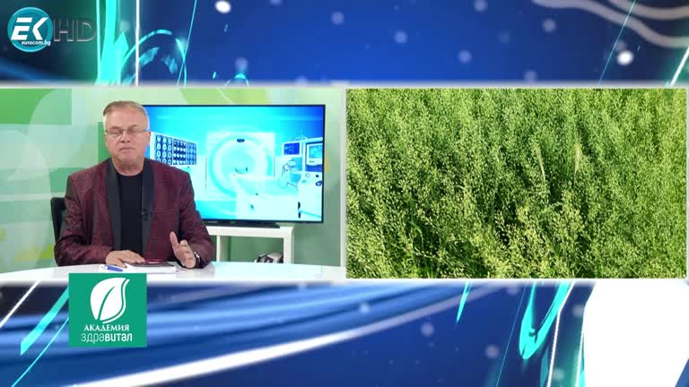 31.10.2023 Рубрика: „Здраве и билки“- свойствата на Камелията  гост Д-р Елка Коева Темата: филърите и каква опастност крият те