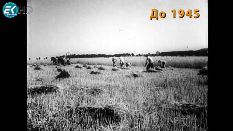 РЕГИОНАЛНА ПОЛИТИКА