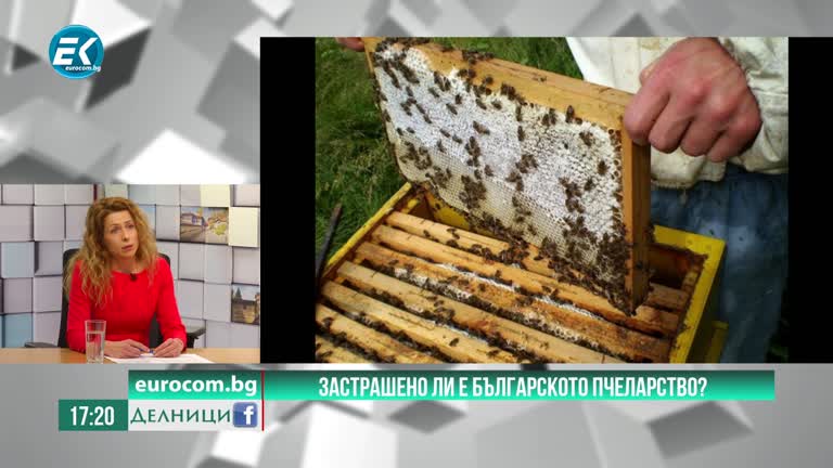 04.06.2020 Полина Цанкова – депутат от ПП „Воля“, Застрашено ли е българското пчеларство?