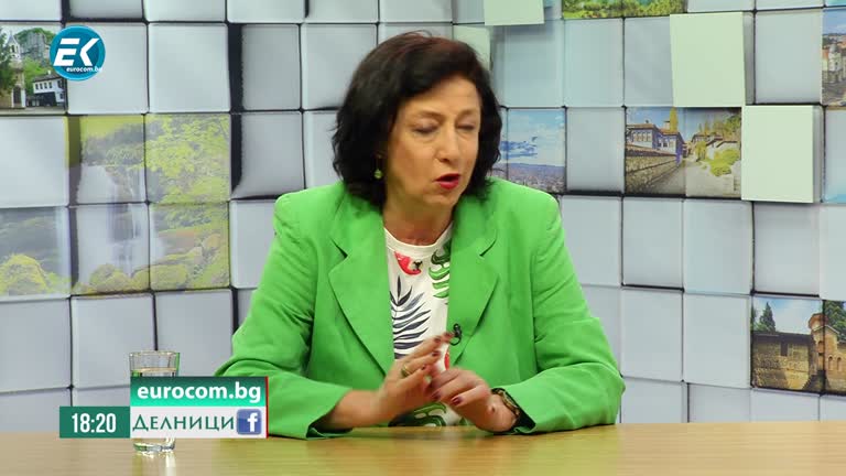 19.05.2020 Зорница Илиева – политически анализатор