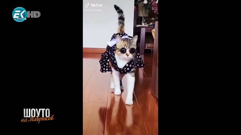 Нели Лазарова и Бояна Бояджиева / 23.01.2021г.