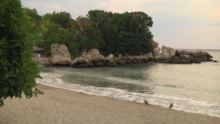 06-12-2022 Спомени от Русалка