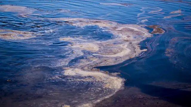 Мащабен разлив на нефт в Черно море накара московския орган